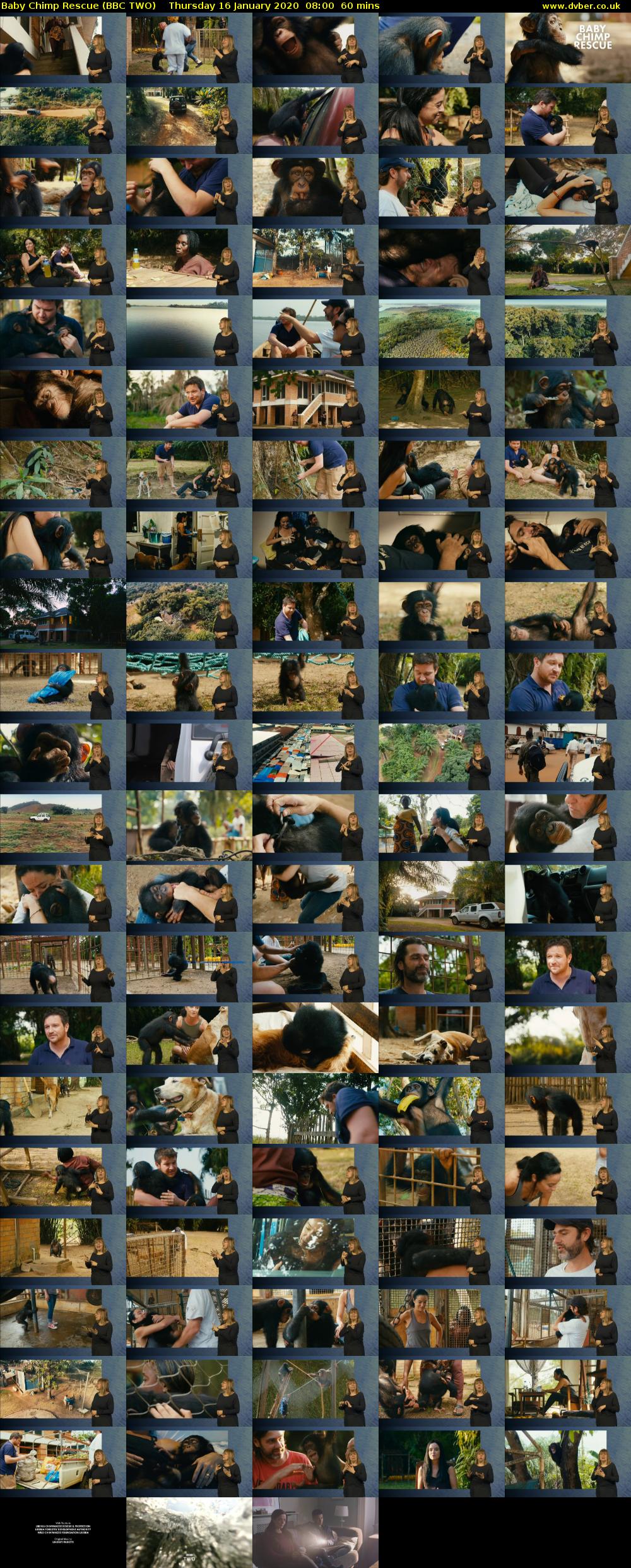 Baby Chimp Rescue (BBC TWO) Thursday 16 January 2020 08:00 - 09:00