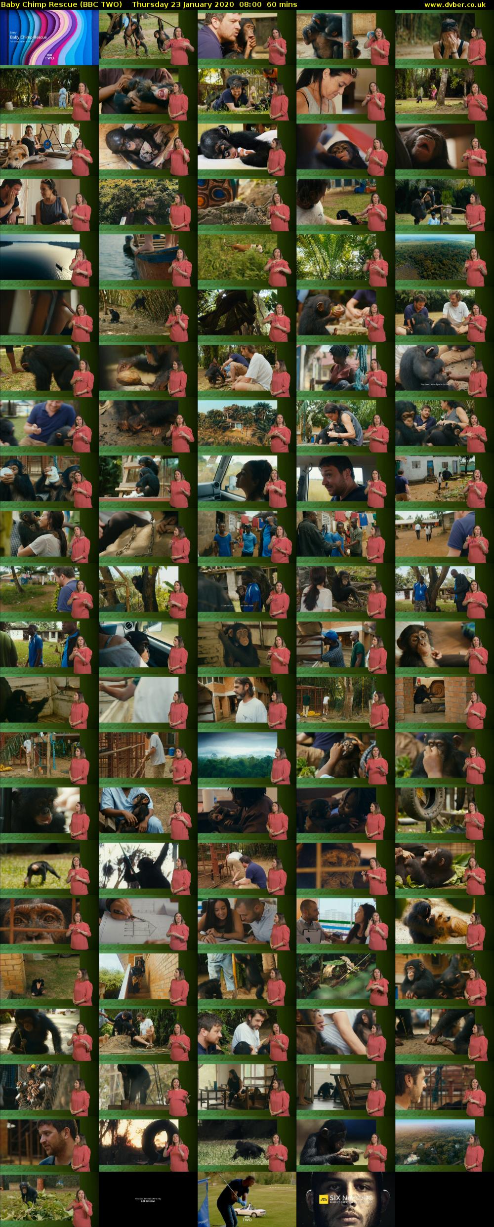 Baby Chimp Rescue (BBC TWO) Thursday 23 January 2020 08:00 - 09:00