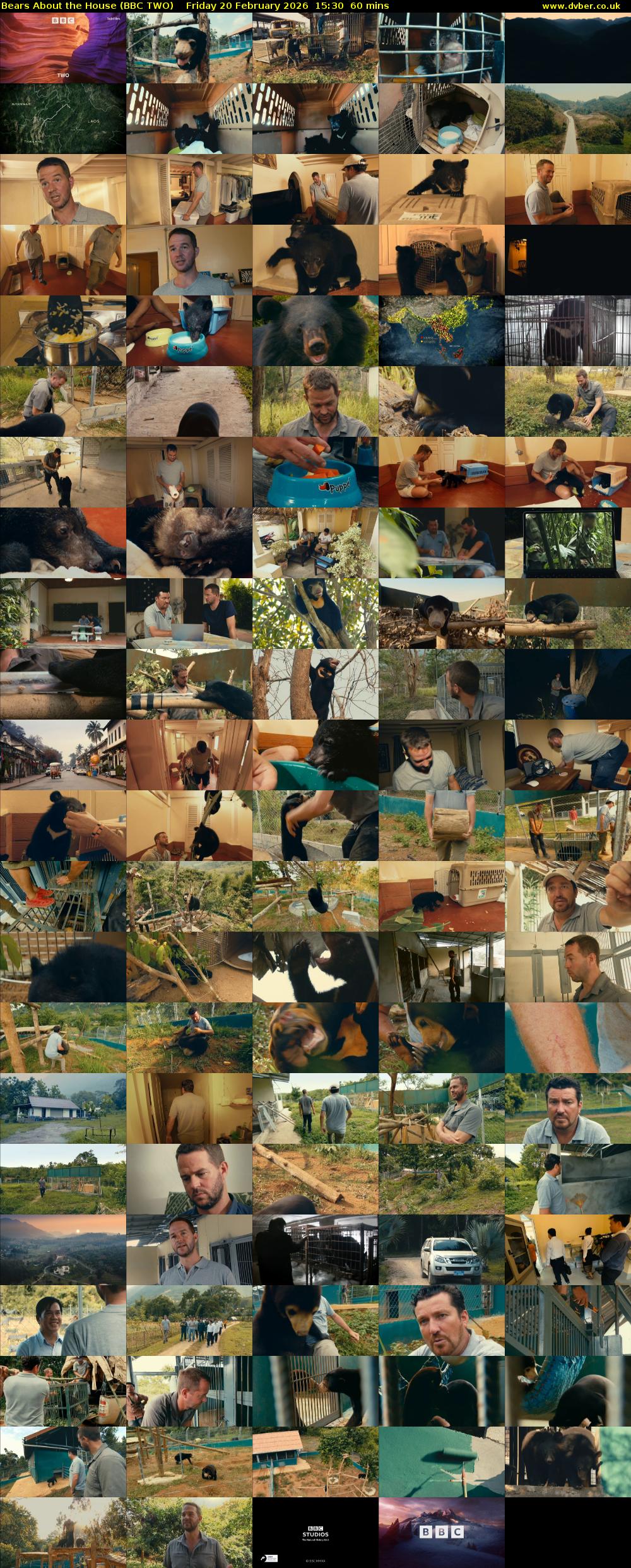 Bears About the House (BBC TWO) Friday 20 February 2026 15:30 - 16:30