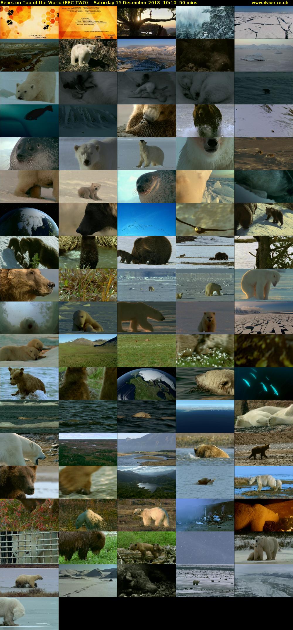 Bears on Top of the World (BBC TWO) Saturday 15 December 2018 10:10 - 11:00