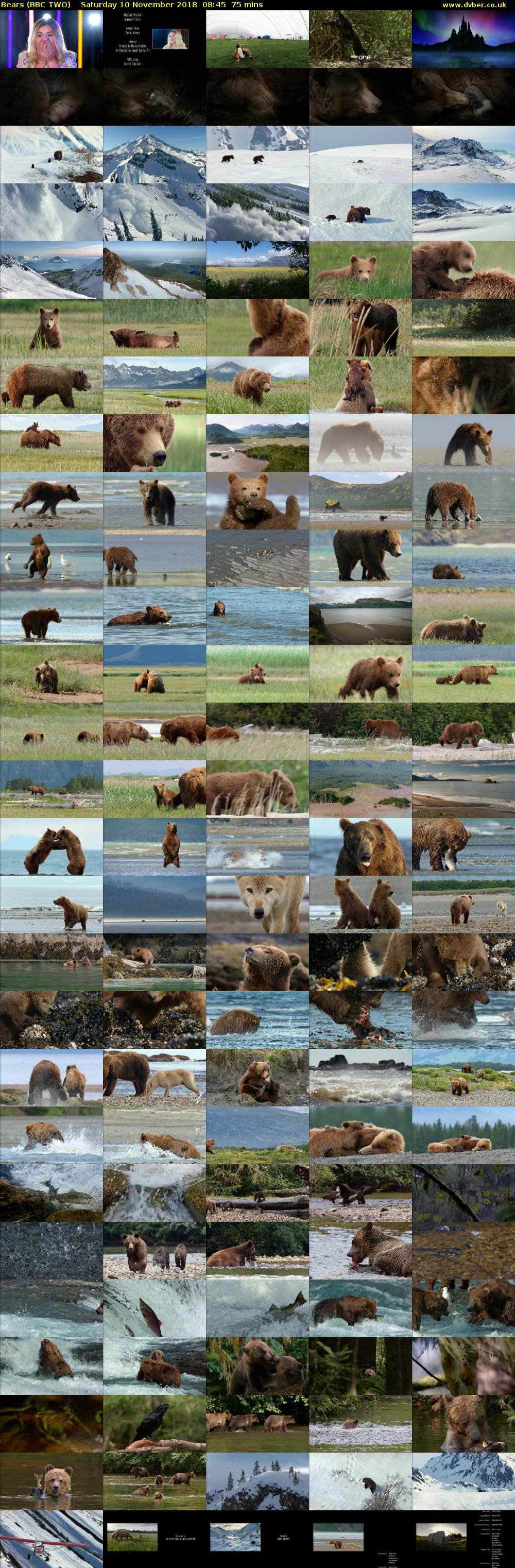 Bears (BBC TWO) Saturday 10 November 2018 08:45 - 10:00