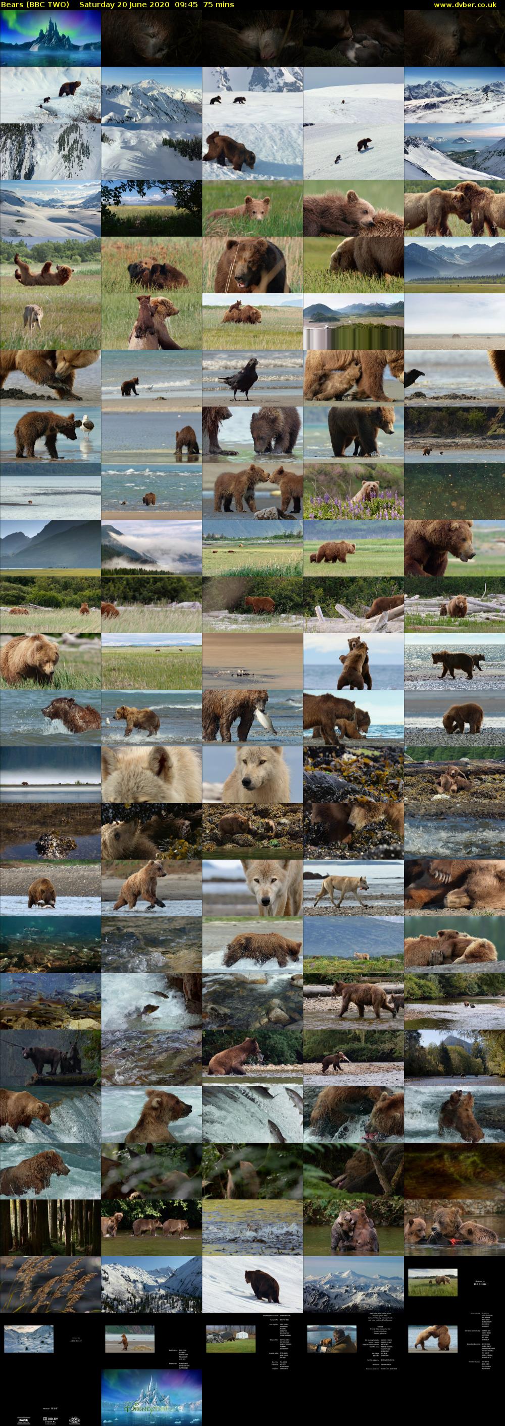 Bears (BBC TWO) Saturday 20 June 2020 09:45 - 11:00