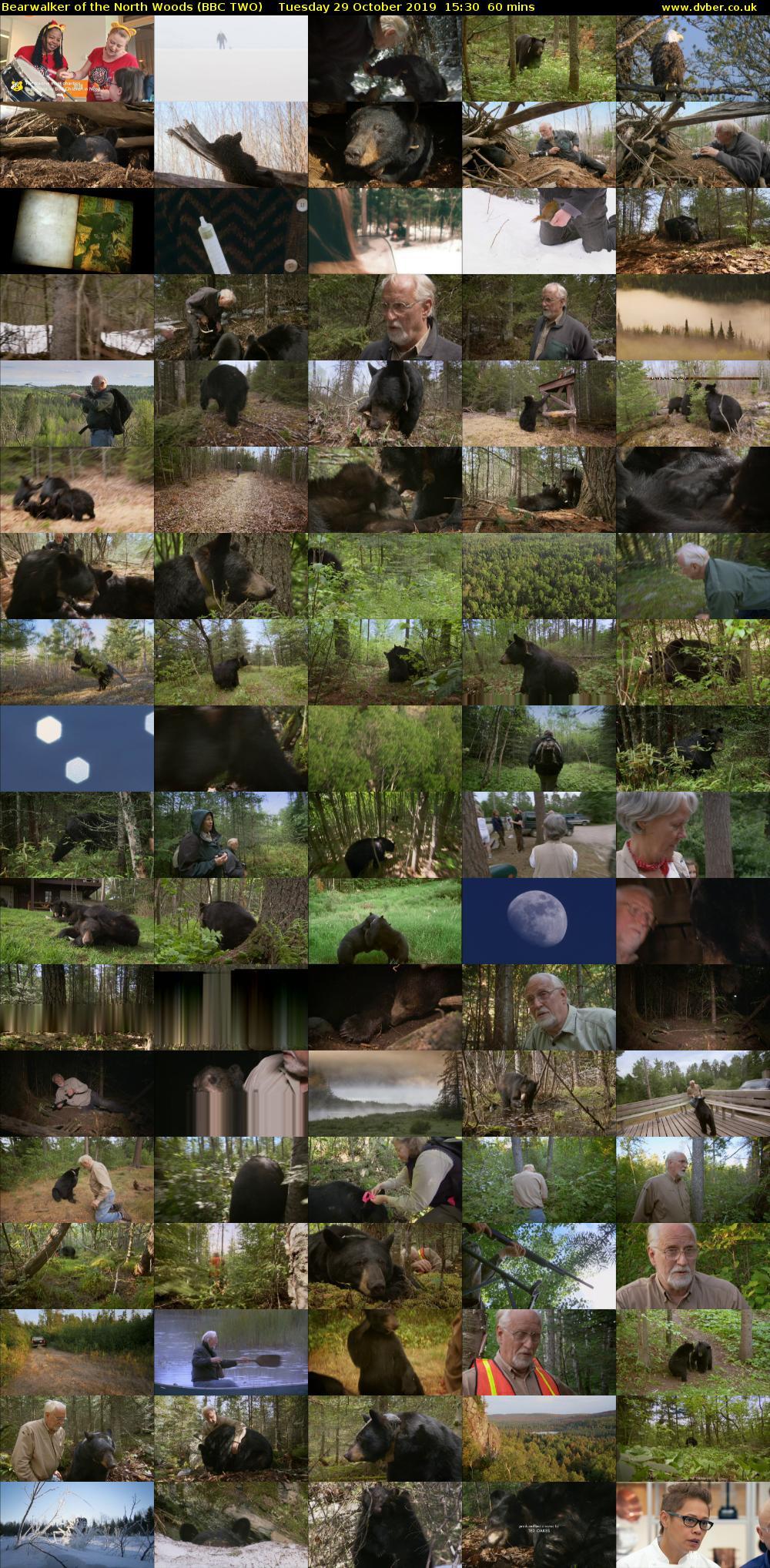 Bearwalker of the North Woods (BBC TWO) Tuesday 29 October 2019 15:30 - 16:30