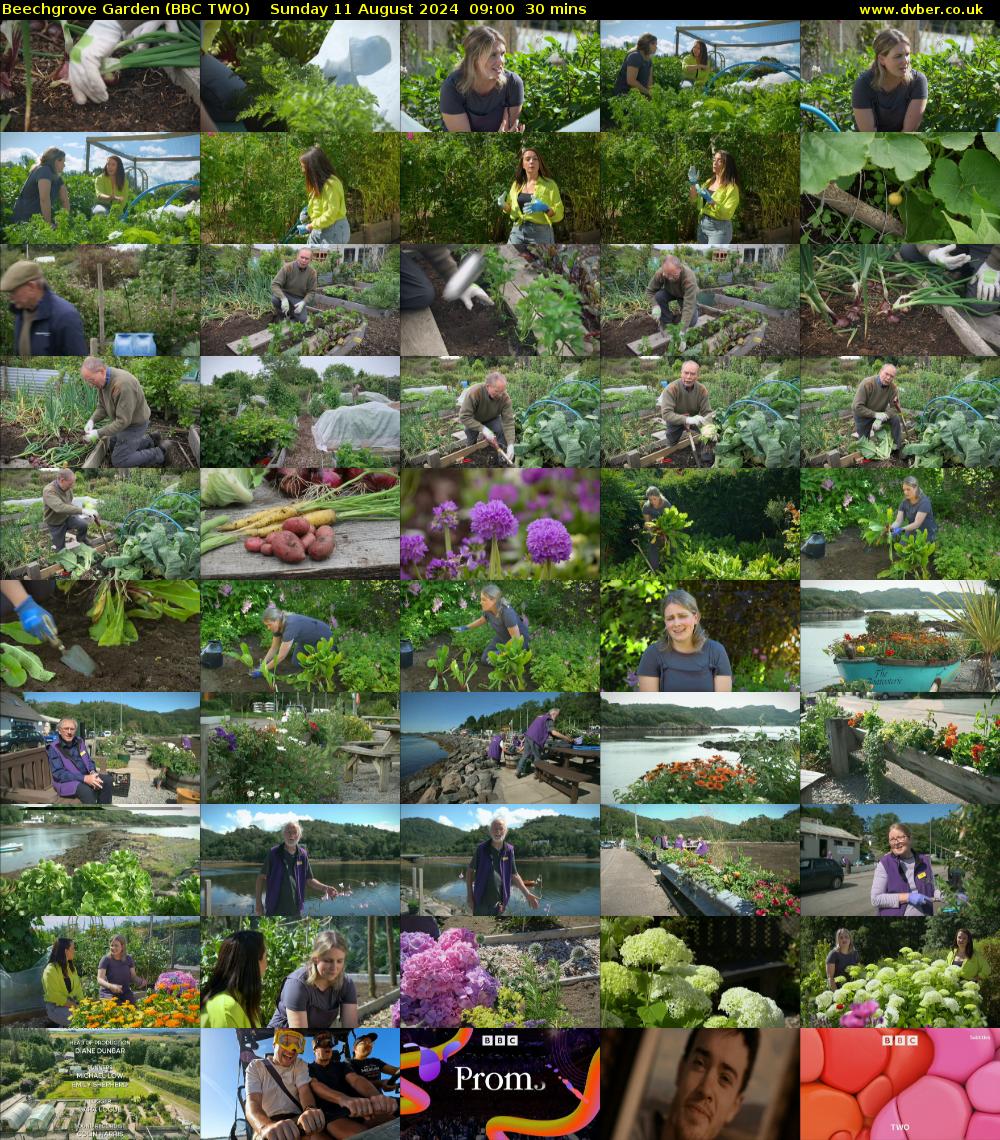 Beechgrove Garden (BBC TWO) Sunday 11 August 2024 09:00 - 09:30
