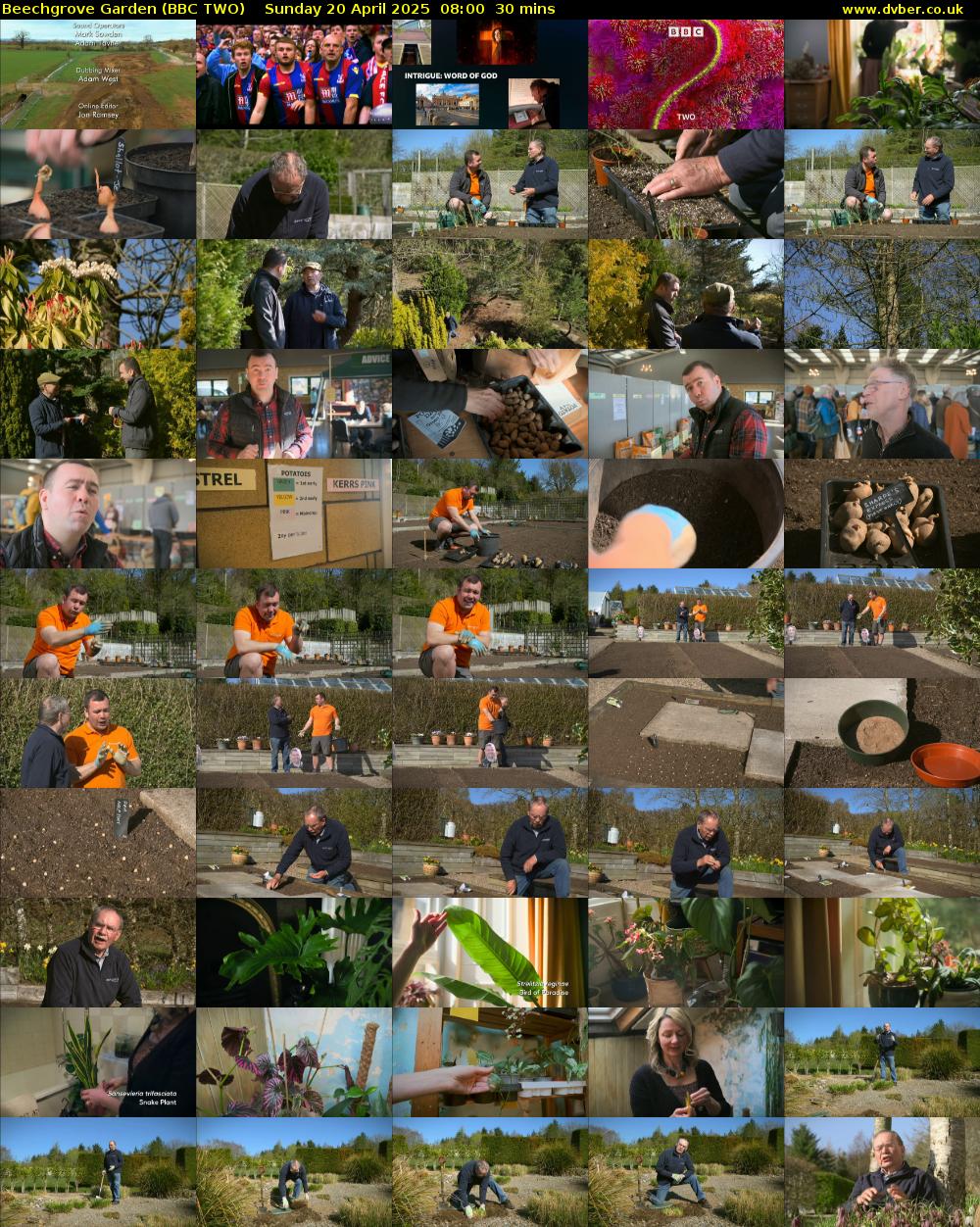 Beechgrove Garden (BBC TWO) Sunday 20 April 2025 08:00 - 08:30