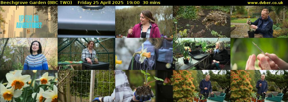 Beechgrove Garden (BBC TWO) Friday 25 April 2025 19:00 - 19:30