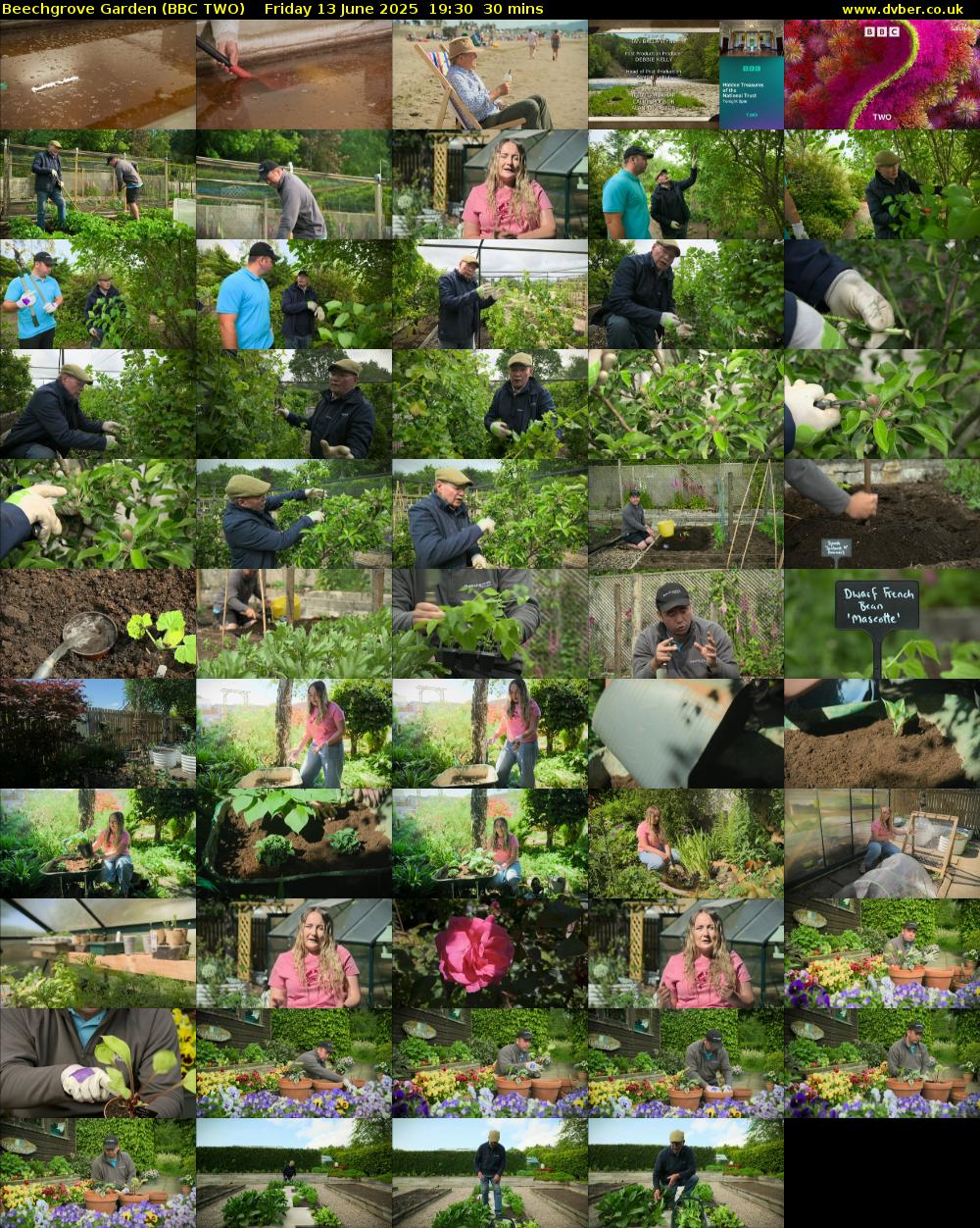 Beechgrove Garden (BBC TWO) Friday 13 June 2025 19:30 - 20:00