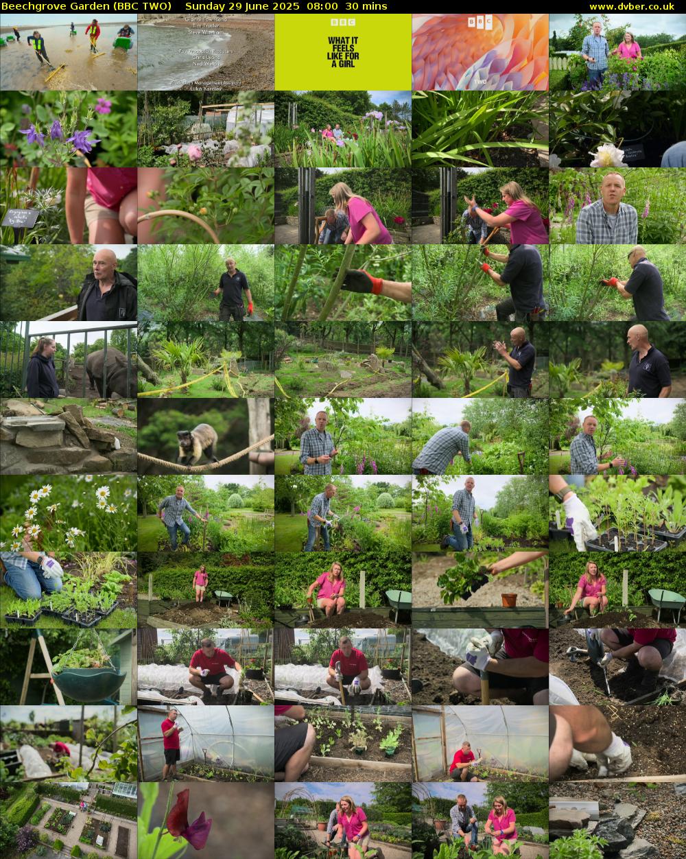 Beechgrove Garden (BBC TWO) Sunday 29 June 2025 08:00 - 08:30