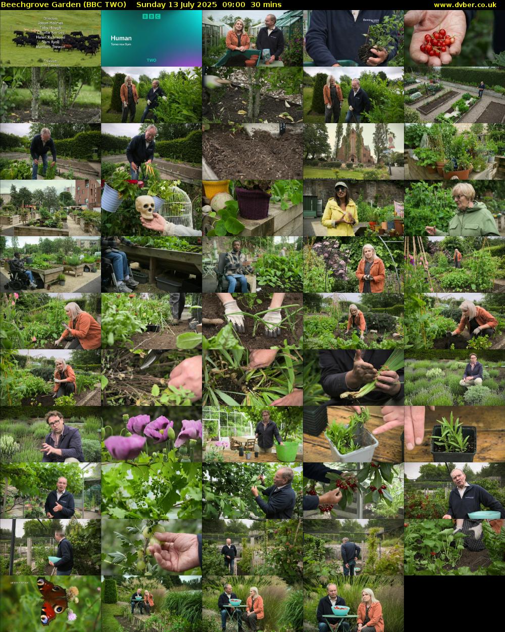 Beechgrove Garden (BBC TWO) Sunday 13 July 2025 09:00 - 09:30