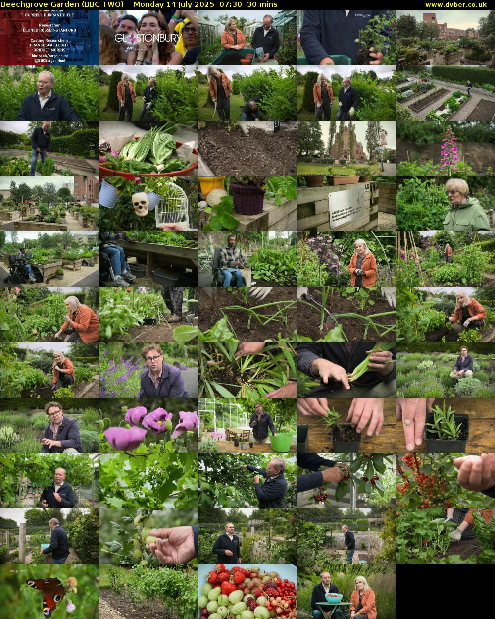 Beechgrove Garden (BBC TWO) Monday 14 July 2025 07:30 - 08:00