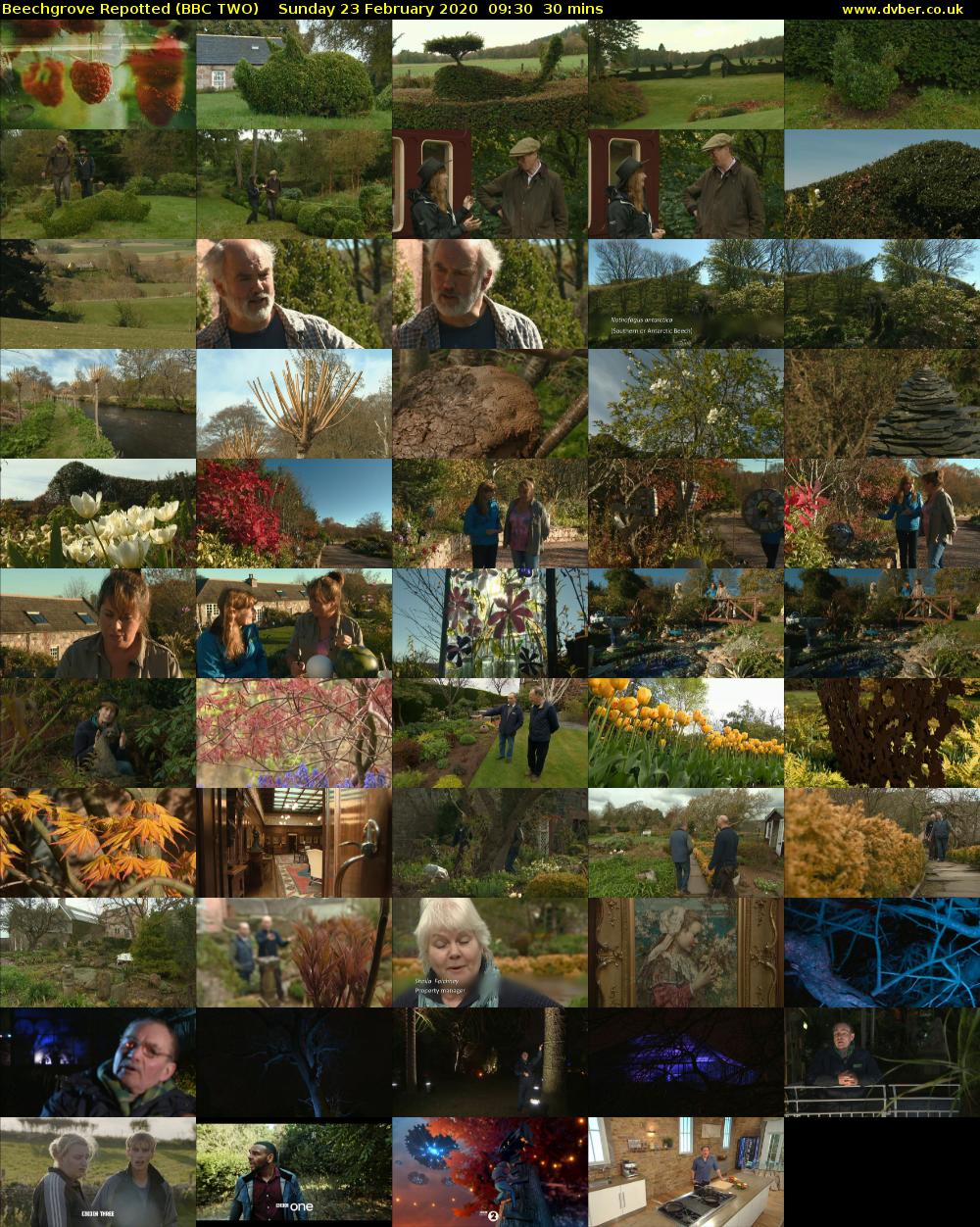 Beechgrove Repotted (BBC TWO) Sunday 23 February 2020 09:30 - 10:00