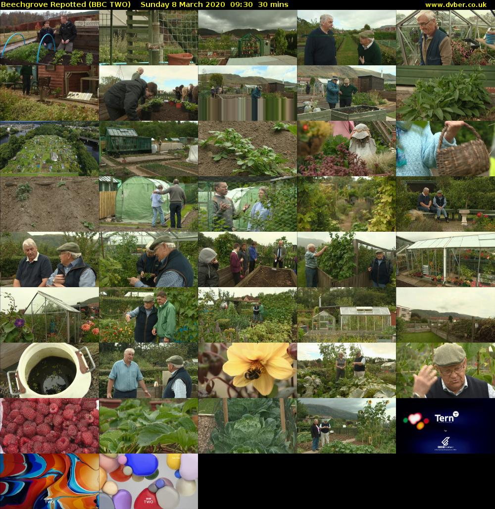 Beechgrove Repotted (BBC TWO) Sunday 8 March 2020 09:30 - 10:00