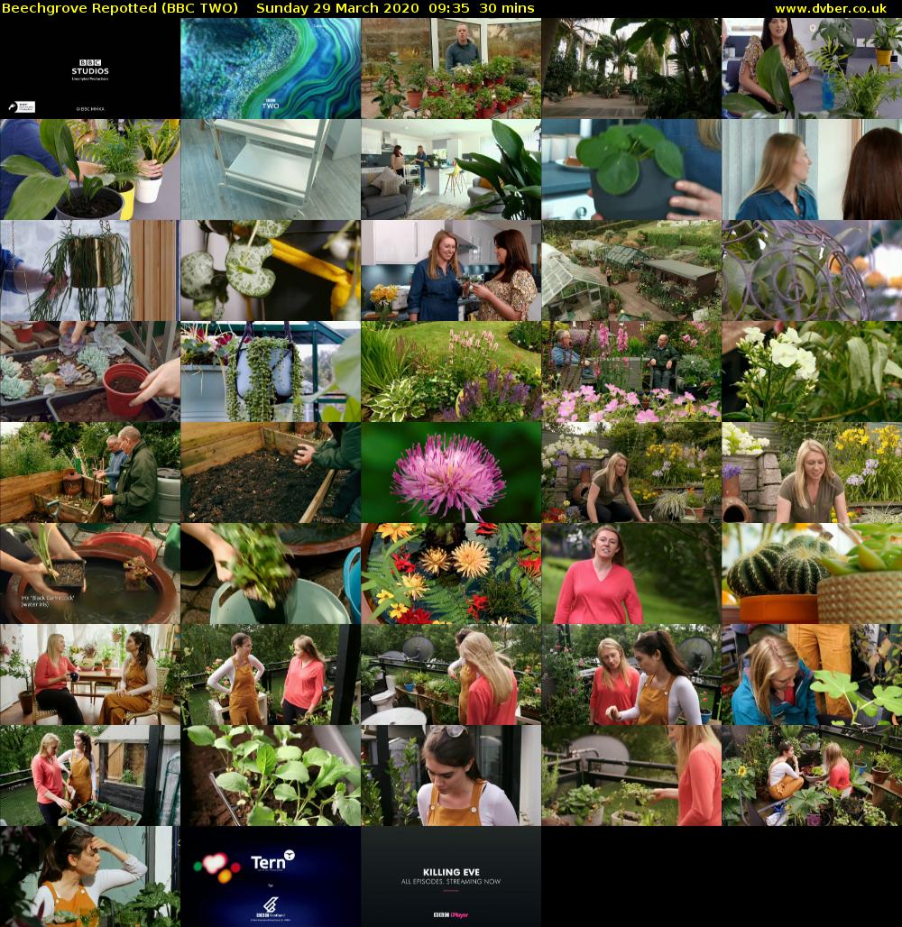 Beechgrove Repotted (BBC TWO) Sunday 29 March 2020 09:35 - 10:05