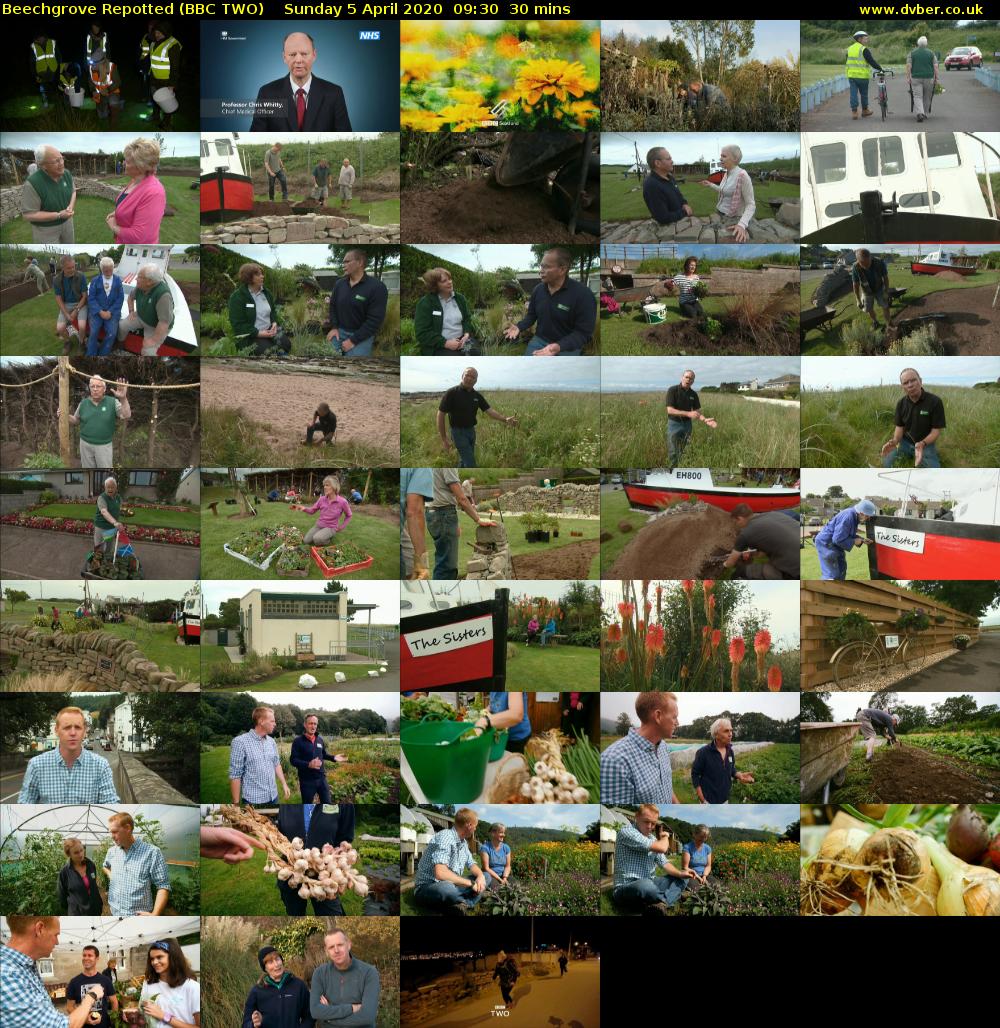Beechgrove Repotted (BBC TWO) Sunday 5 April 2020 09:30 - 10:00