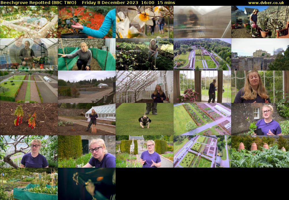 Beechgrove Repotted (BBC TWO) Friday 8 December 2023 16:00 - 16:15