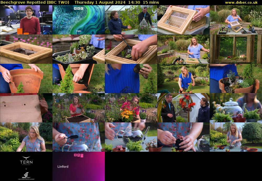 Beechgrove Repotted (BBC TWO) Thursday 1 August 2024 14:30 - 14:45