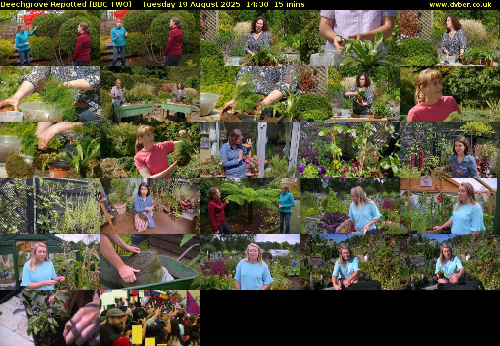 Beechgrove Repotted (BBC TWO) Tuesday 19 August 2025 14:30 - 14:45