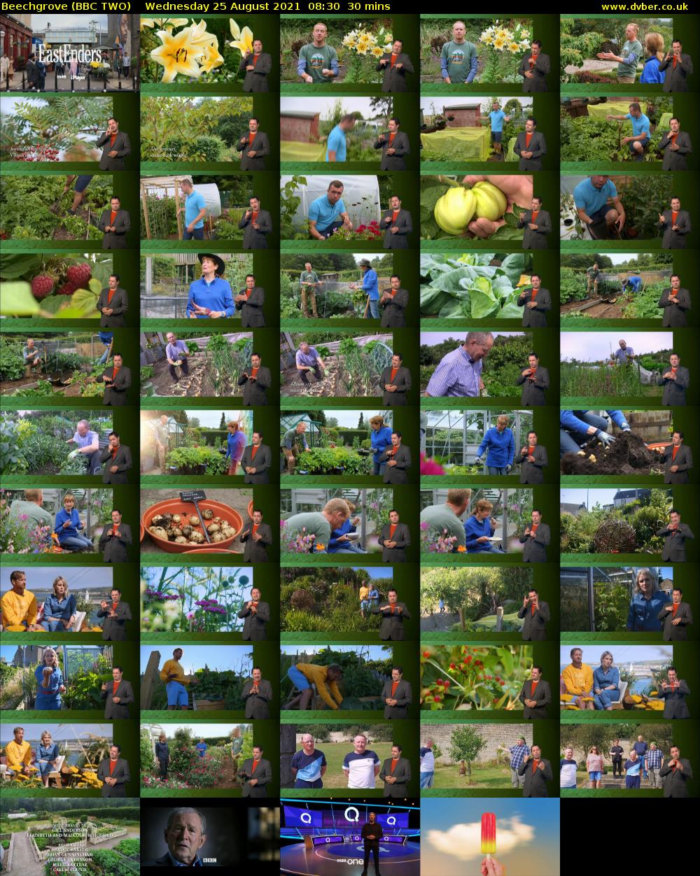 Beechgrove (BBC TWO) Wednesday 25 August 2021 08:30 - 09:00