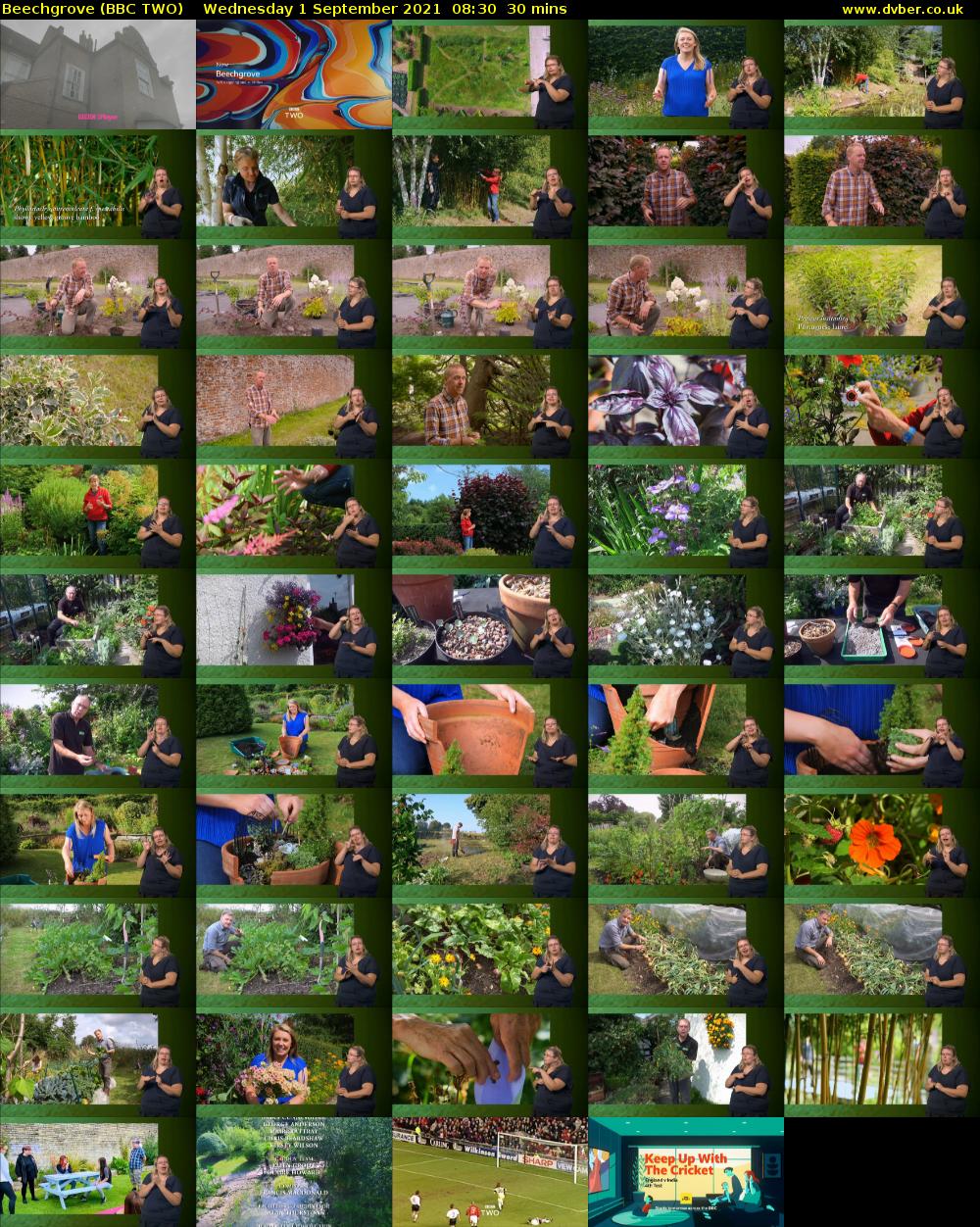 Beechgrove (BBC TWO) Wednesday 1 September 2021 08:30 - 09:00