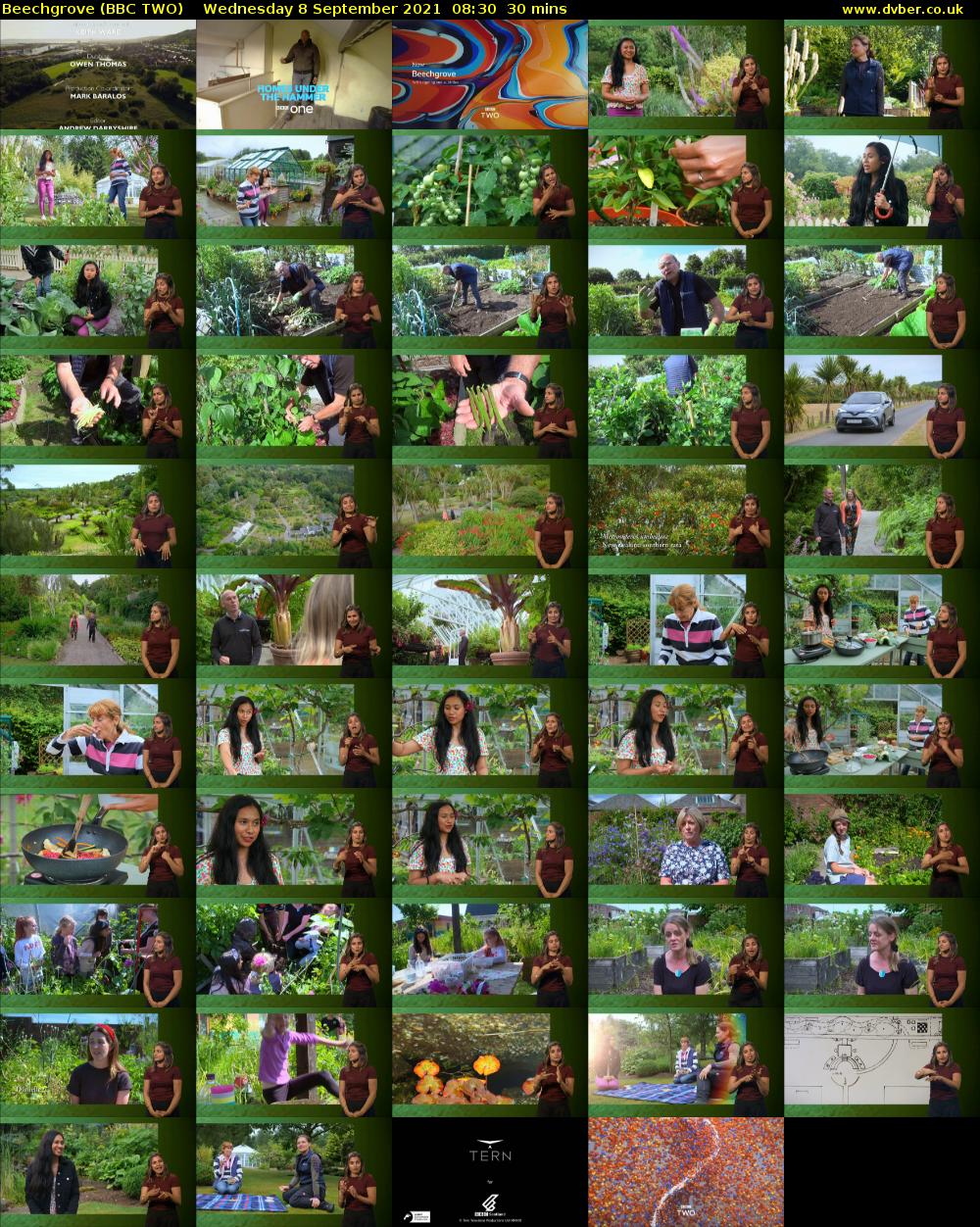 Beechgrove (BBC TWO) Wednesday 8 September 2021 08:30 - 09:00