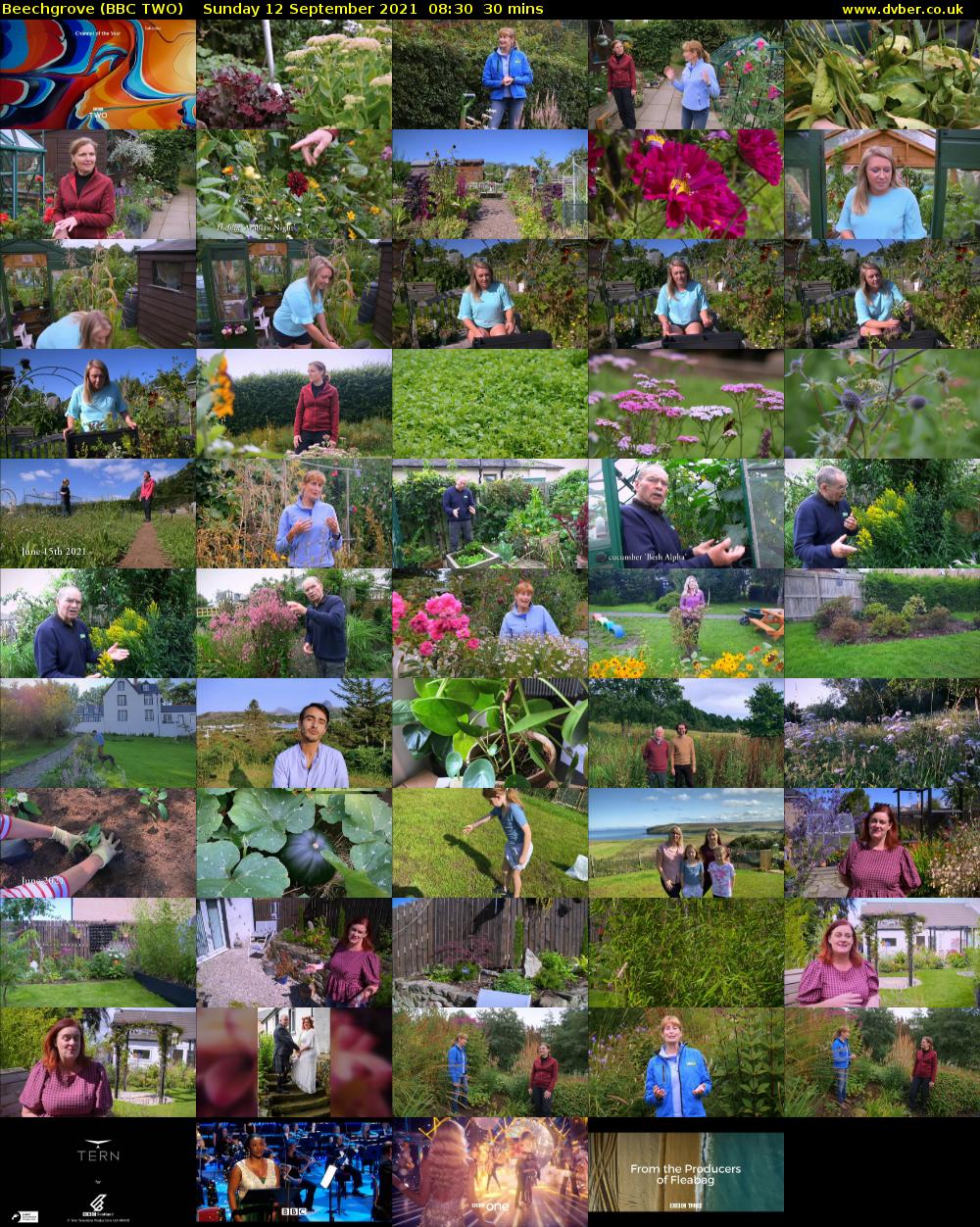 Beechgrove (BBC TWO) Sunday 12 September 2021 08:30 - 09:00