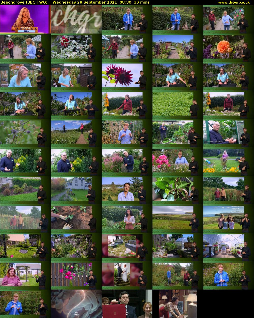 Beechgrove (BBC TWO) Wednesday 29 September 2021 08:30 - 09:00