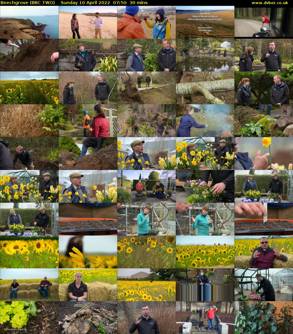 Beechgrove (BBC TWO) Sunday 10 April 2022 07:50 - 08:20