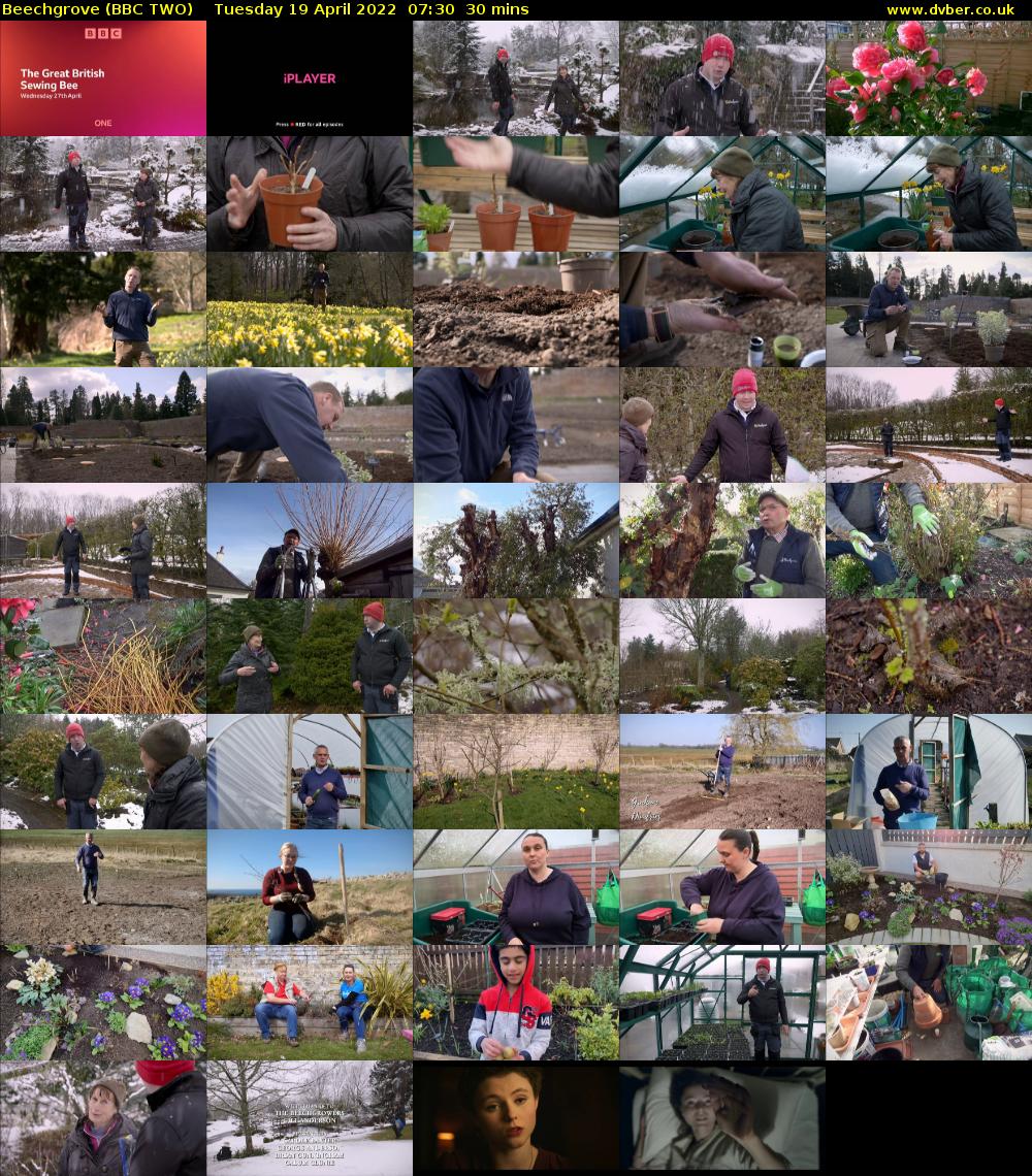 Beechgrove (BBC TWO) Tuesday 19 April 2022 07:30 - 08:00