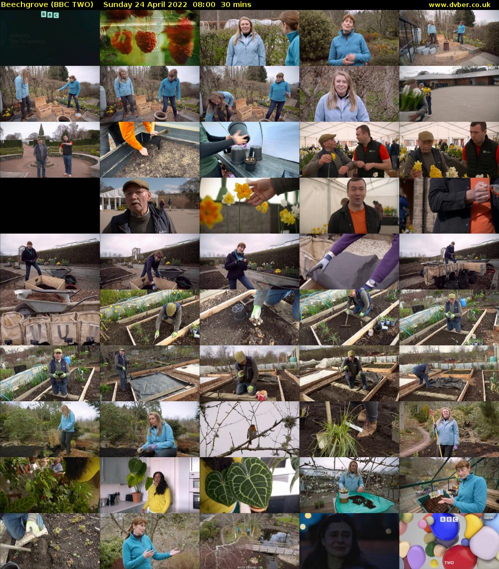 Beechgrove (BBC TWO) Sunday 24 April 2022 08:00 - 08:30