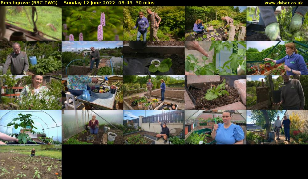 Beechgrove (BBC TWO) Sunday 12 June 2022 08:45 - 09:15