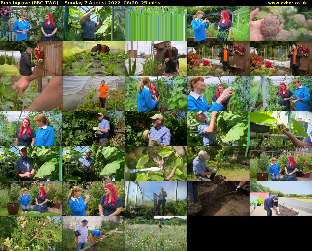 Beechgrove (BBC TWO) Sunday 7 August 2022 06:20 - 06:45