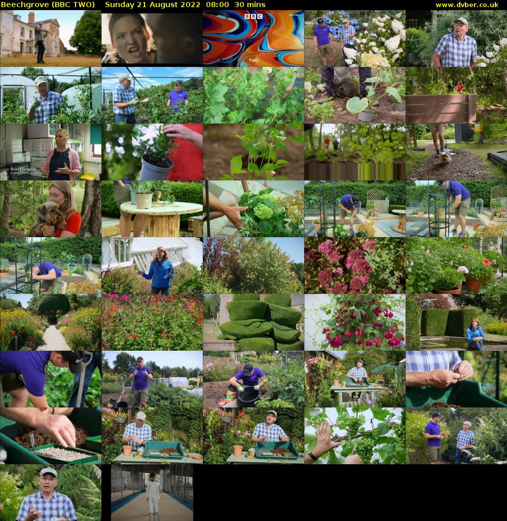 Beechgrove (BBC TWO) Sunday 21 August 2022 08:00 - 08:30