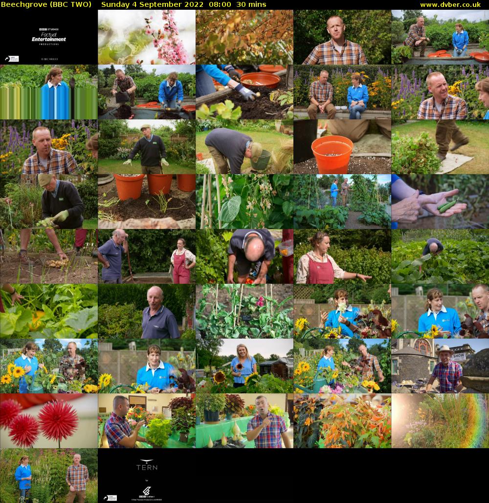 Beechgrove (BBC TWO) Sunday 4 September 2022 08:00 - 08:30