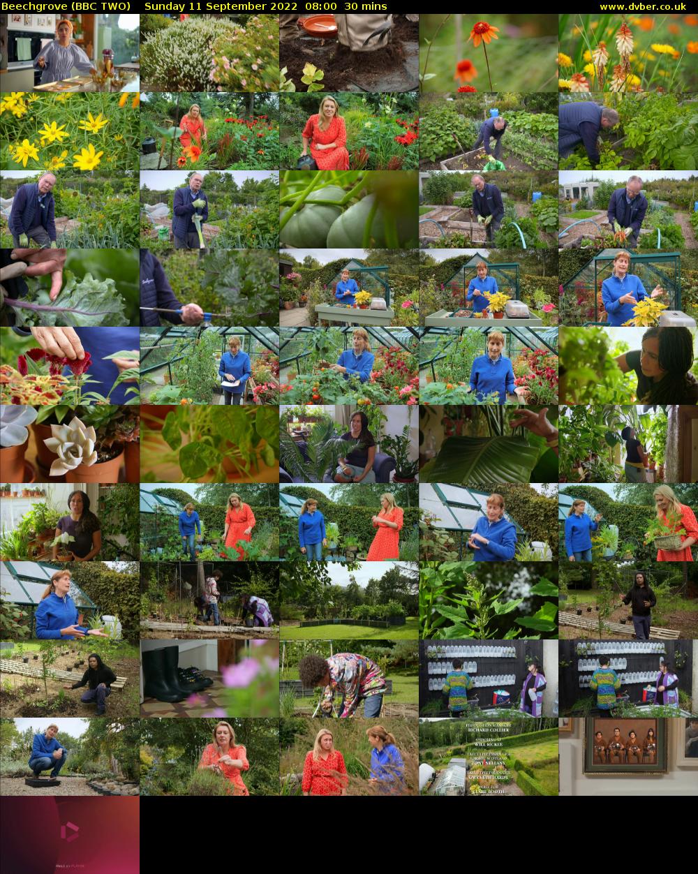 Beechgrove (BBC TWO) Sunday 11 September 2022 08:00 - 08:30