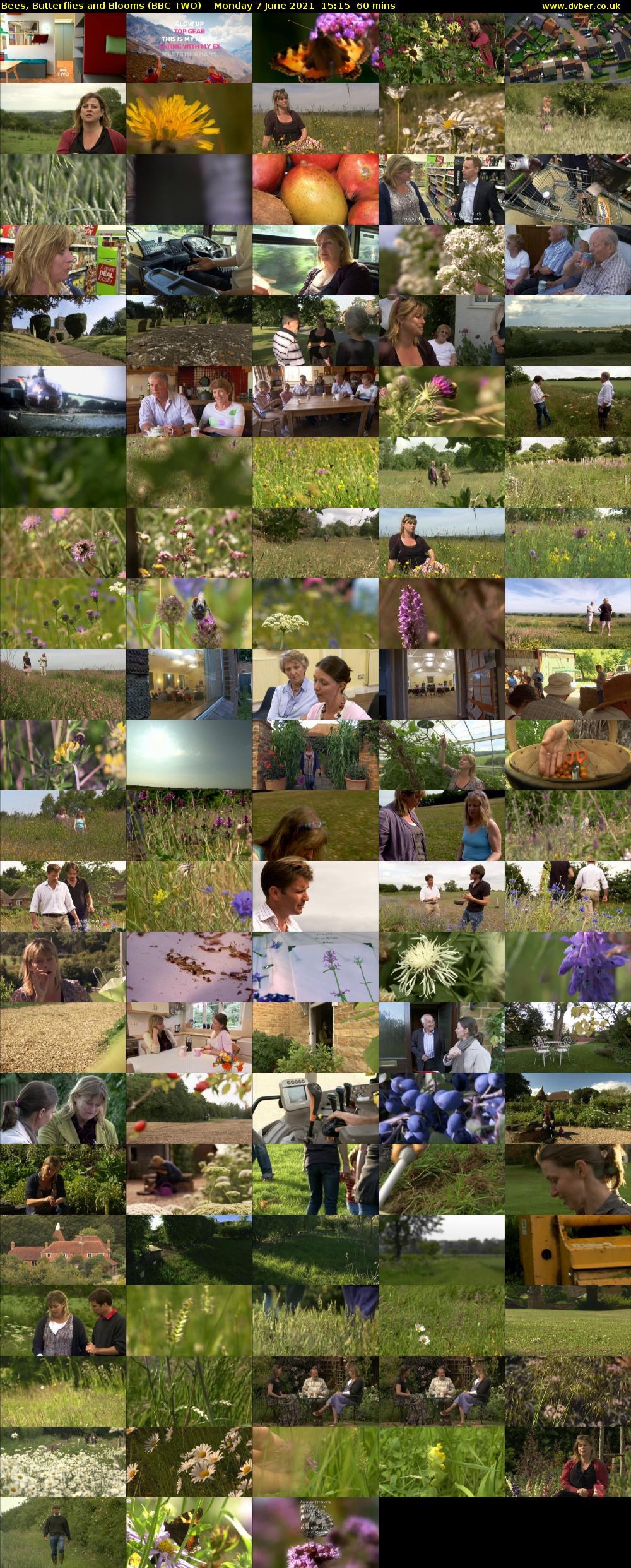 Bees, Butterflies and Blooms (BBC TWO) Monday 7 June 2021 15:15 - 16:15