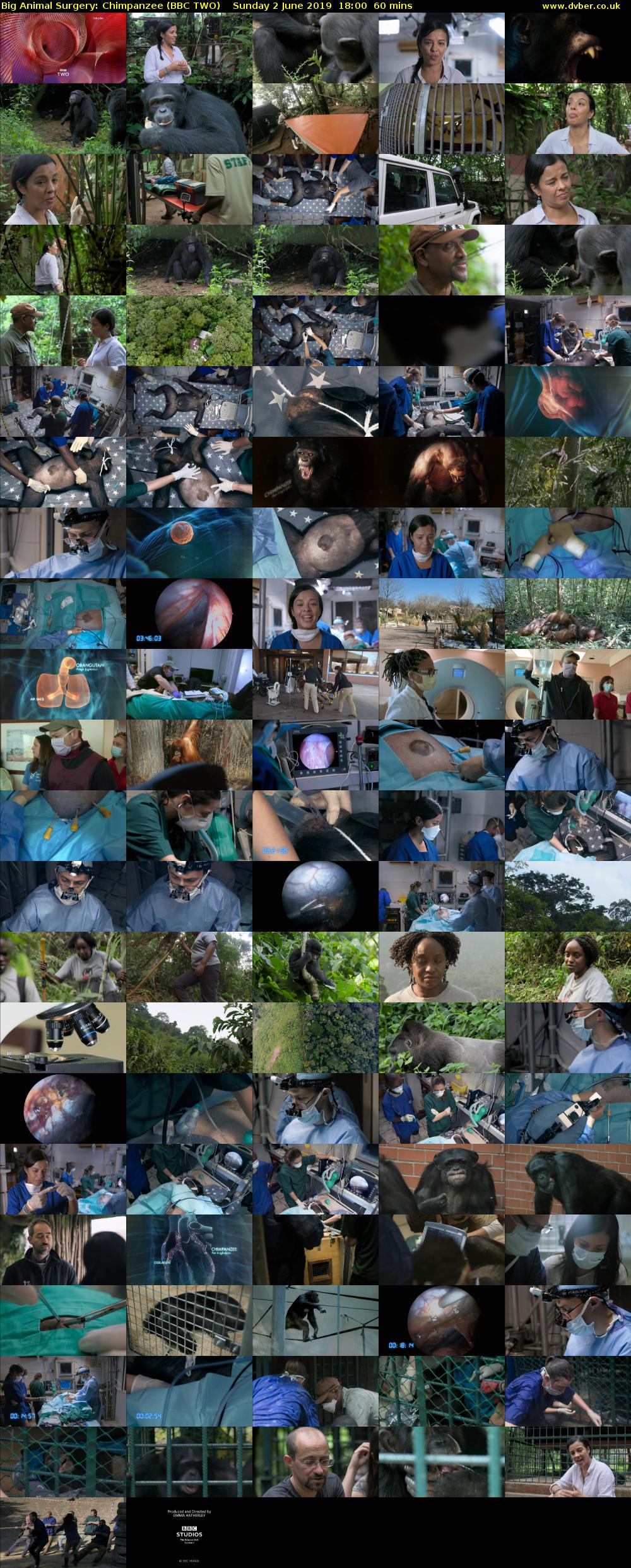 Big Animal Surgery: Chimpanzee (BBC TWO) Sunday 2 June 2019 18:00 - 19:00