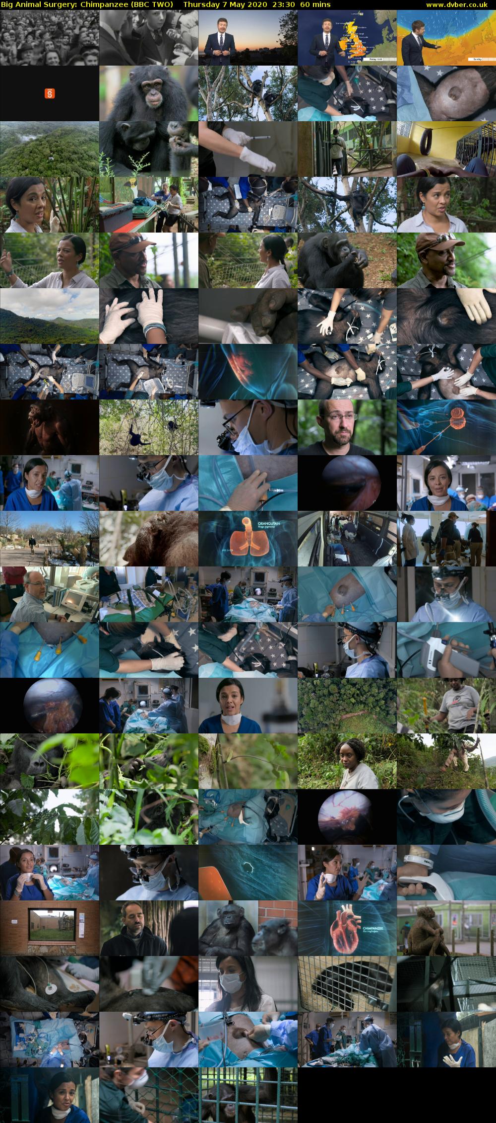 Big Animal Surgery: Chimpanzee (BBC TWO) Thursday 7 May 2020 23:30 - 00:30