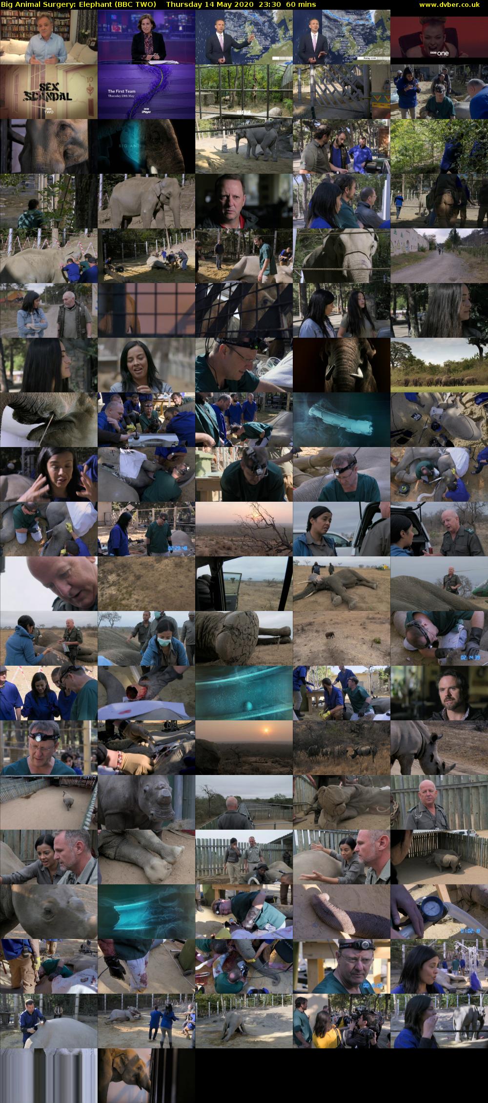 Big Animal Surgery: Elephant (BBC TWO) Thursday 14 May 2020 23:30 - 00:30