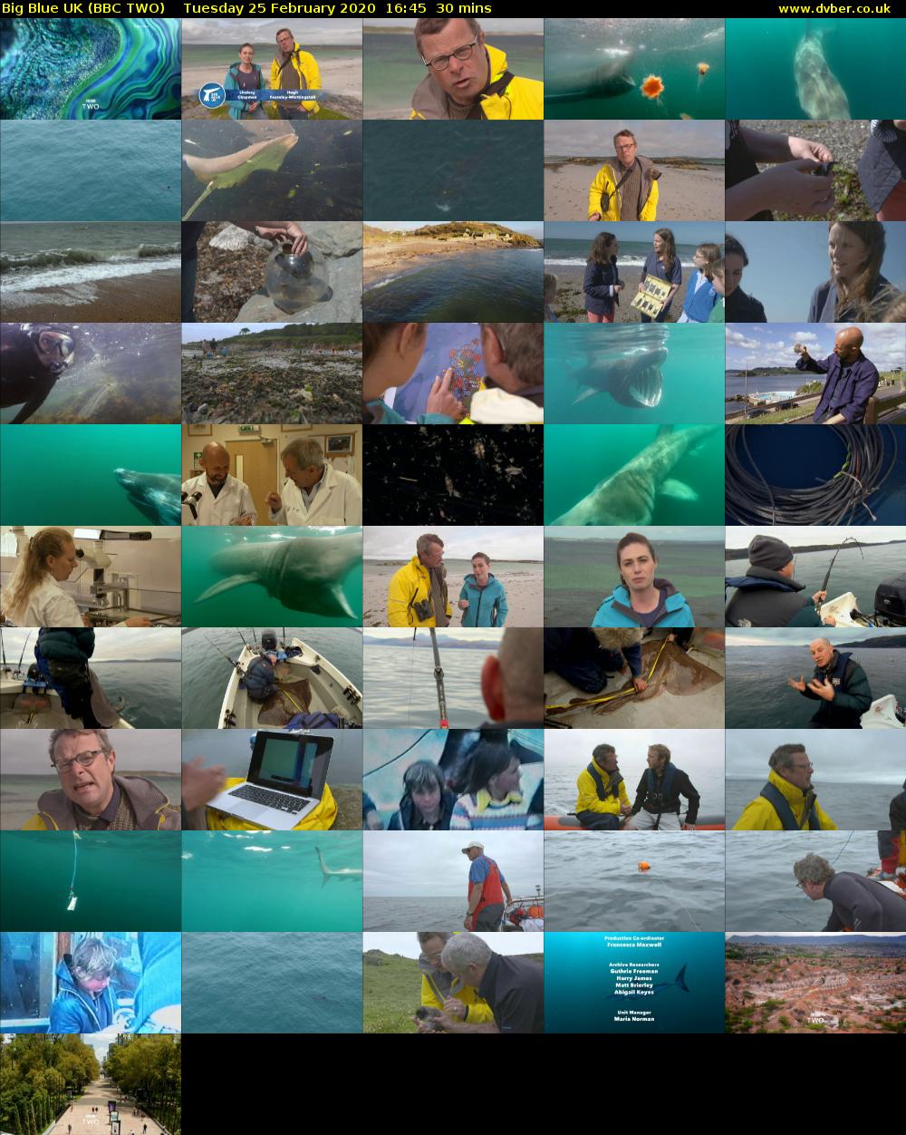 Big Blue UK (BBC TWO) Tuesday 25 February 2020 16:45 - 17:15