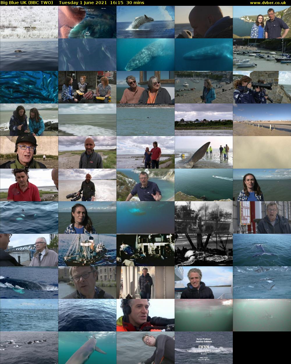 Big Blue UK (BBC TWO) Tuesday 1 June 2021 16:15 - 16:45