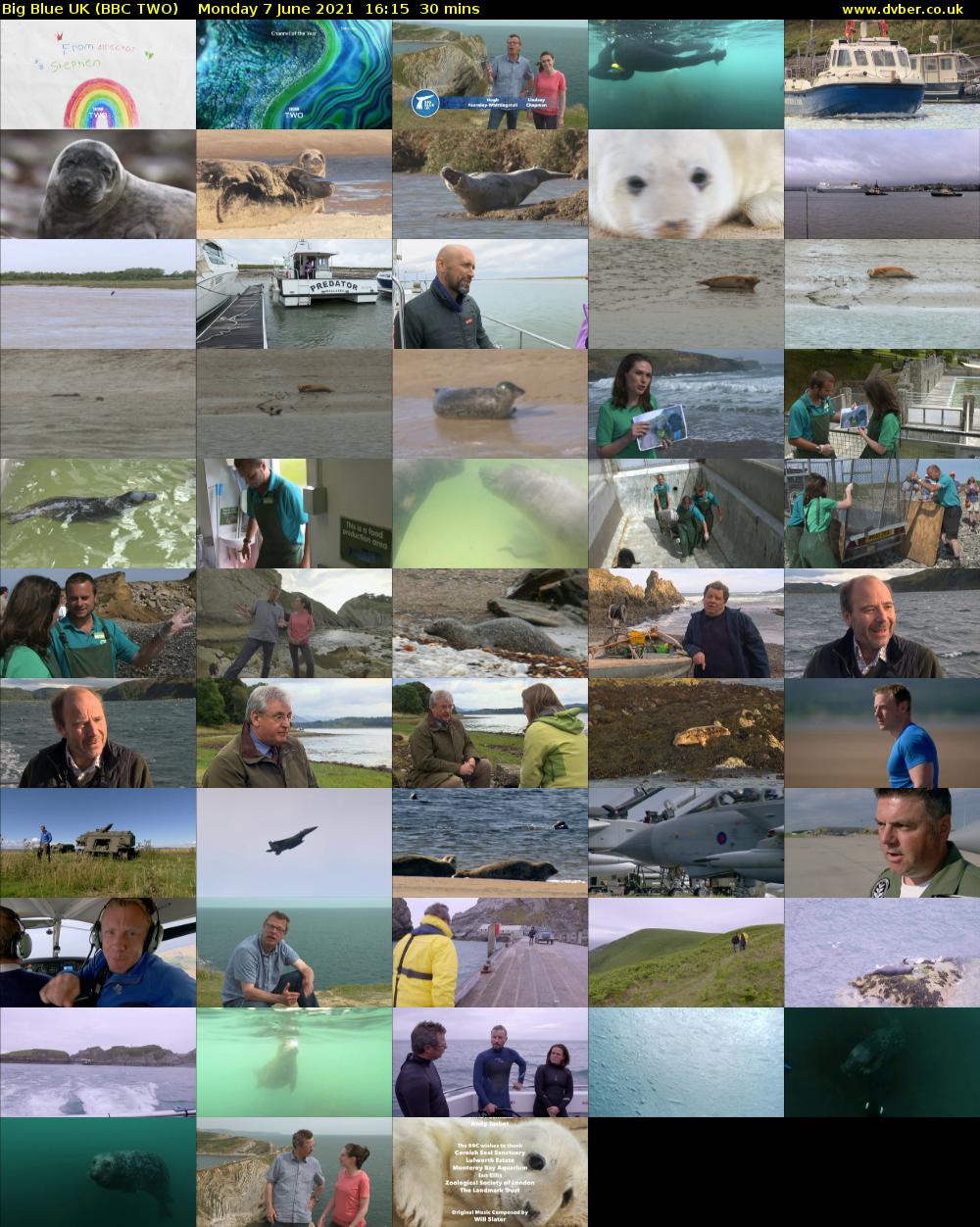 Big Blue UK (BBC TWO) Monday 7 June 2021 16:15 - 16:45