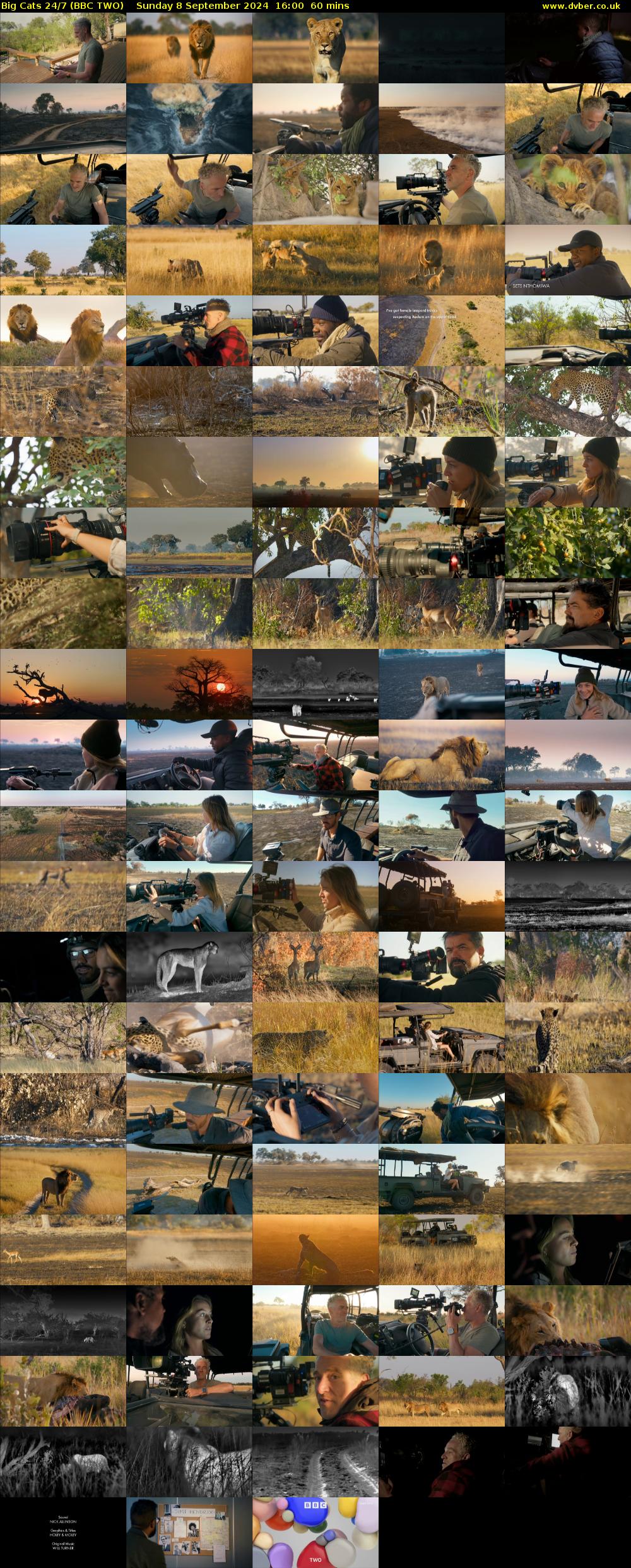 Big Cats 24/7 (BBC TWO) Sunday 8 September 2024 16:00 - 17:00