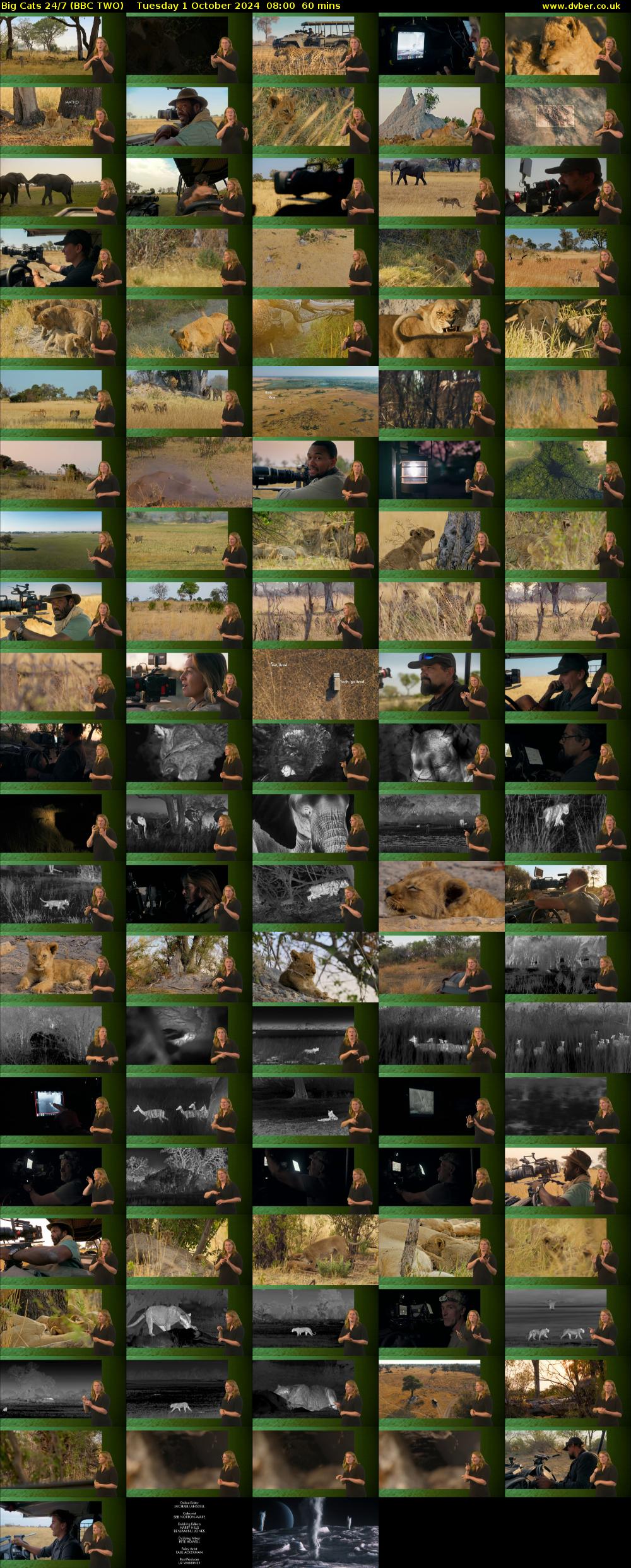 Big Cats 24/7 (BBC TWO) Tuesday 1 October 2024 08:00 - 09:00