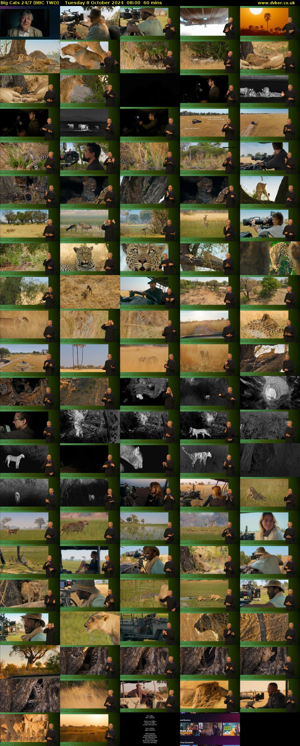 Big Cats 24/7 (BBC TWO) Tuesday 8 October 2024 08:00 - 09:00