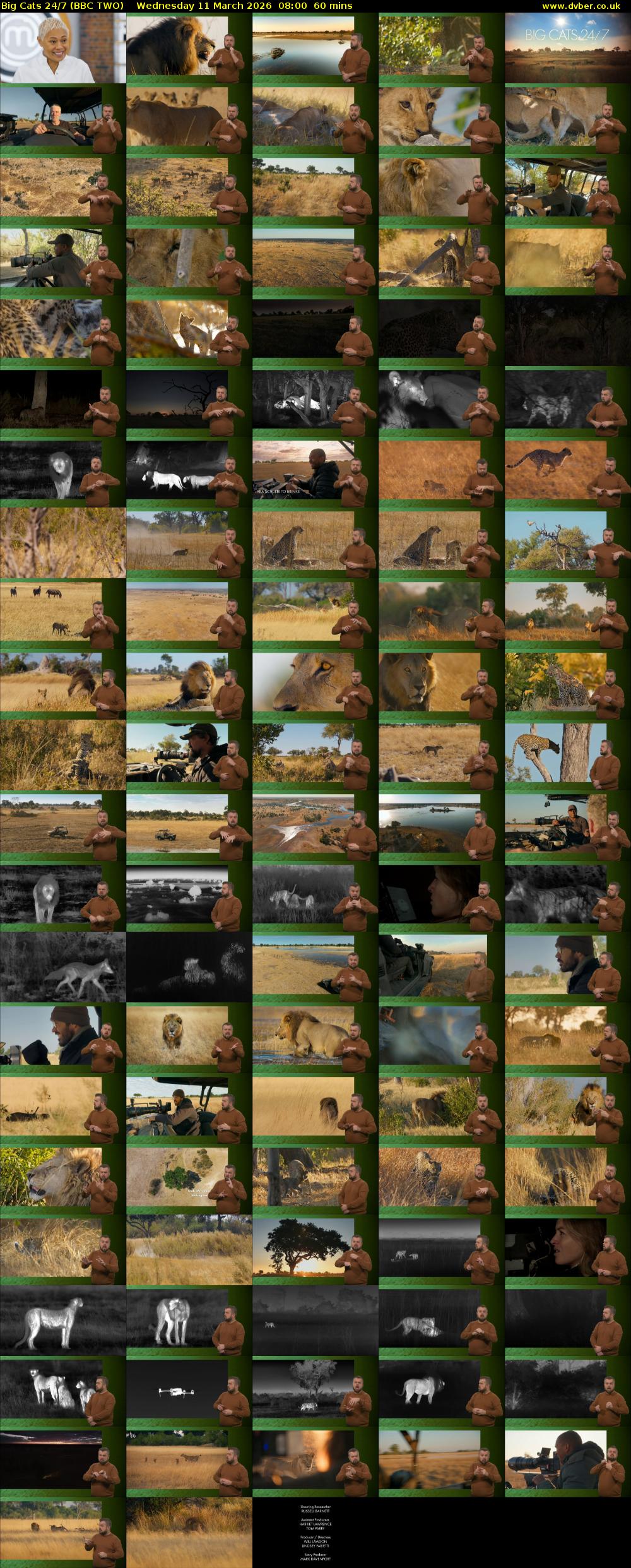 Big Cats 24/7 (BBC TWO) Wednesday 11 March 2026 08:00 - 09:00