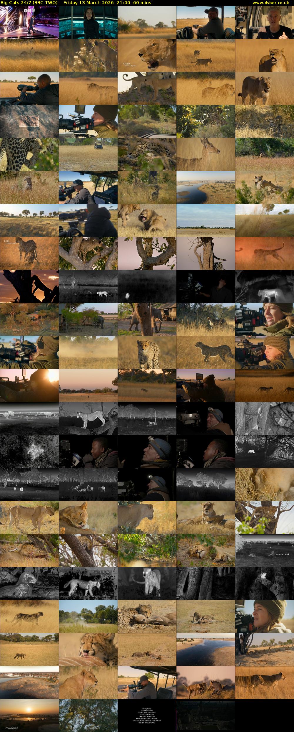 Big Cats 24/7 (BBC TWO) Friday 13 March 2026 21:00 - 22:00