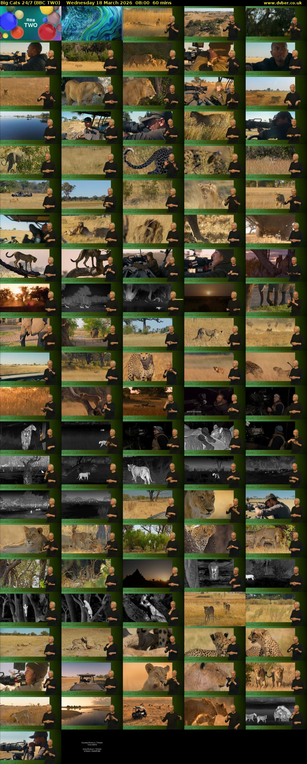 Big Cats 24/7 (BBC TWO) Wednesday 18 March 2026 08:00 - 09:00