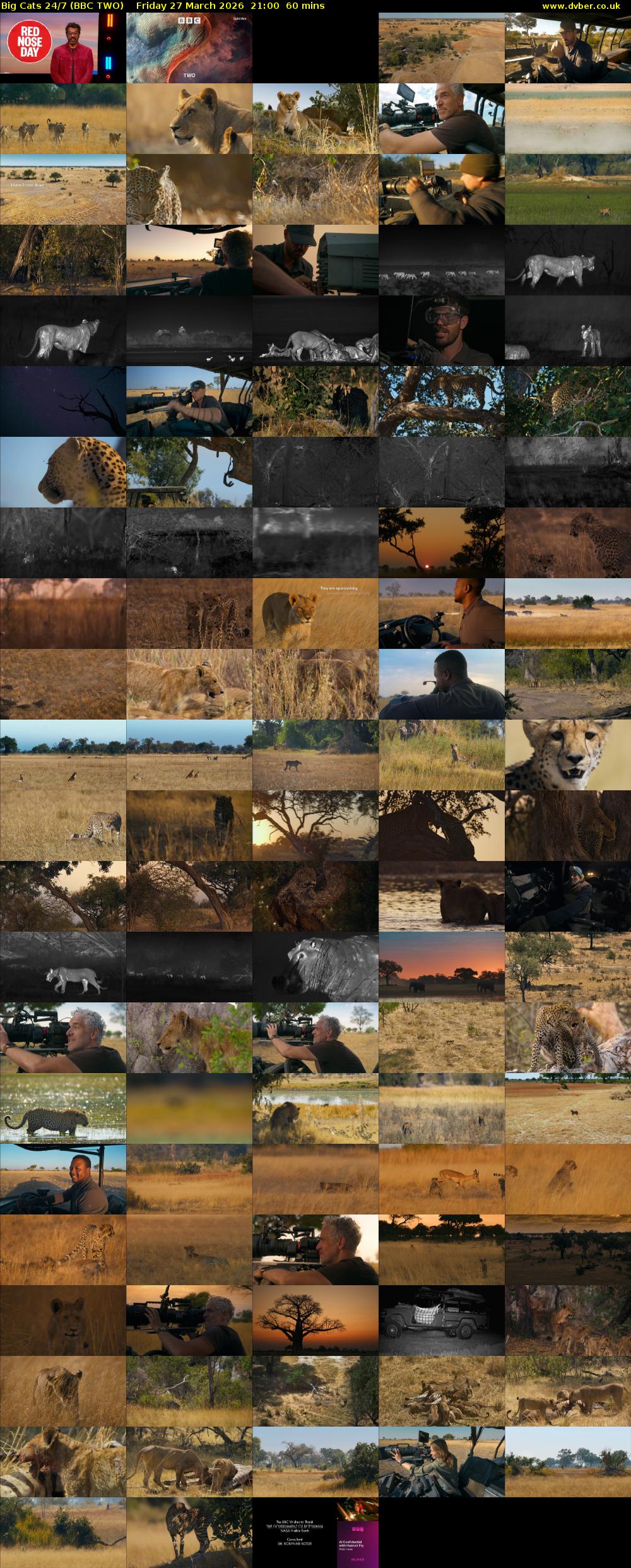 Big Cats 24/7 (BBC TWO) Friday 27 March 2026 21:00 - 22:00