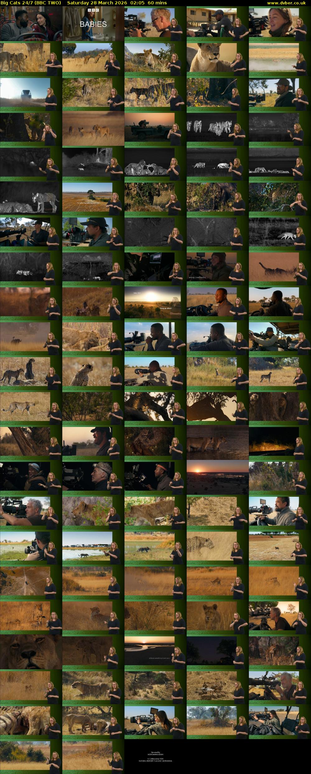 Big Cats 24/7 (BBC TWO) Saturday 28 March 2026 02:05 - 03:05