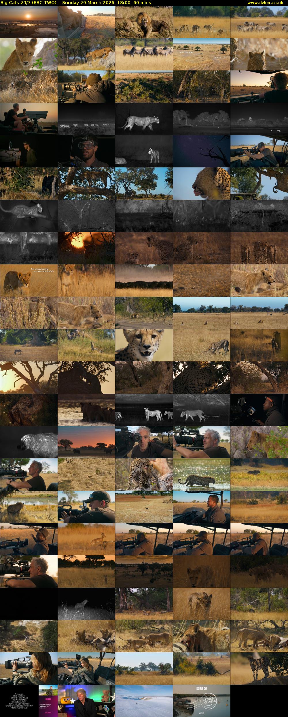 Big Cats 24/7 (BBC TWO) Sunday 29 March 2026 18:00 - 19:00